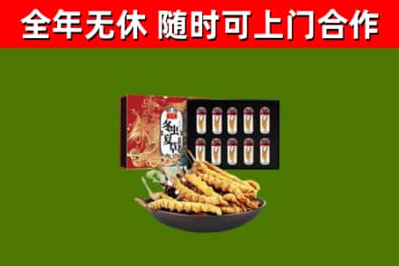 张店烟酒回收冬虫夏草礼盒.jpg